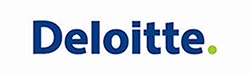 John Hagel Deloitte DW24