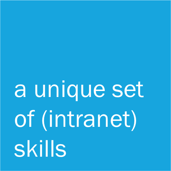 Unique set of intranet skills