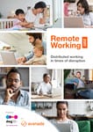Front cover of Remote Working 2020