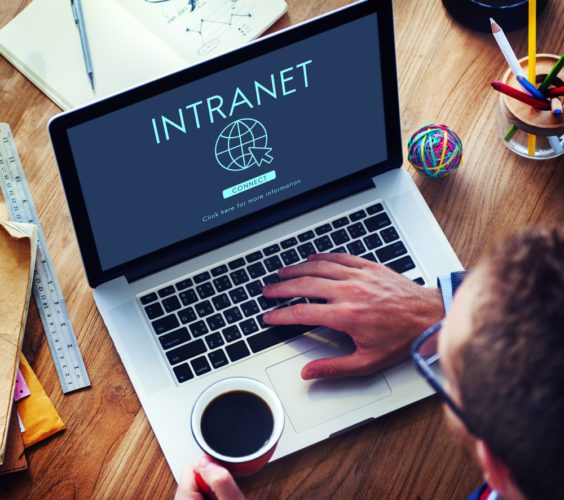 Intranet launch plan